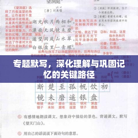 專題默寫，深化理解與鞏固記憶的關(guān)鍵路徑
