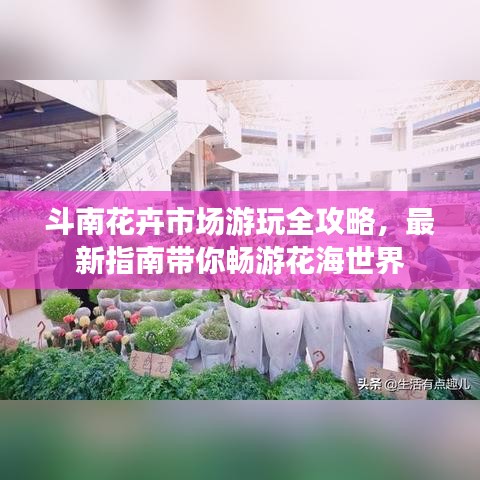 斗南花卉市場游玩全攻略，最新指南帶你暢游花海世界