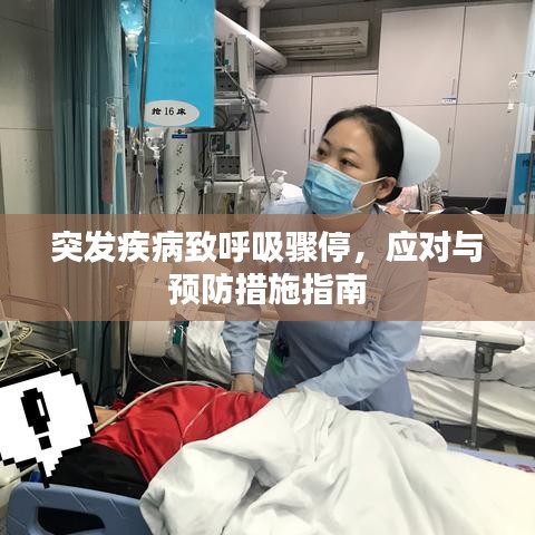 突發(fā)疾病致呼吸驟停，應(yīng)對與預(yù)防措施指南