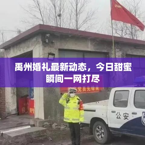 禹州婚禮最新動(dòng)態(tài)，今日甜蜜瞬間一網(wǎng)打盡