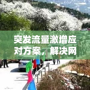 突發(fā)流量激增應(yīng)對方案，解決網(wǎng)絡(luò)流量挑戰(zhàn)的策略