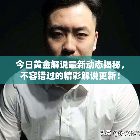 今日黃金解說(shuō)最新動(dòng)態(tài)揭秘，不容錯(cuò)過(guò)的精彩解說(shuō)更新！