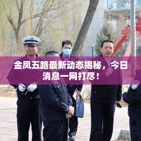 金鳳五路最新動態(tài)揭秘，今日消息一網(wǎng)打盡！