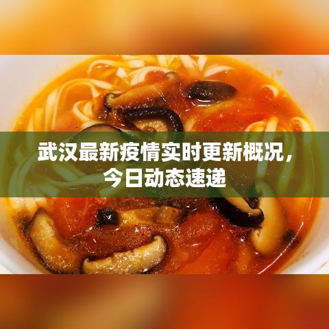 武漢最新疫情實(shí)時(shí)更新概況，今日動(dòng)態(tài)速遞