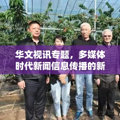 華文視訊專題，多媒體時(shí)代新聞信息傳播的新境界探索