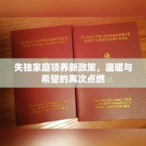 失獨(dú)家庭領(lǐng)養(yǎng)新政策，溫暖與希望的再次點(diǎn)燃