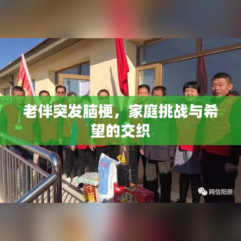 老伴突發(fā)腦梗，家庭挑戰(zhàn)與希望的交織