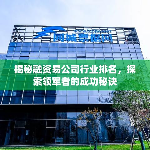 揭秘融資易公司行業(yè)排名，探索領(lǐng)軍者的成功秘訣