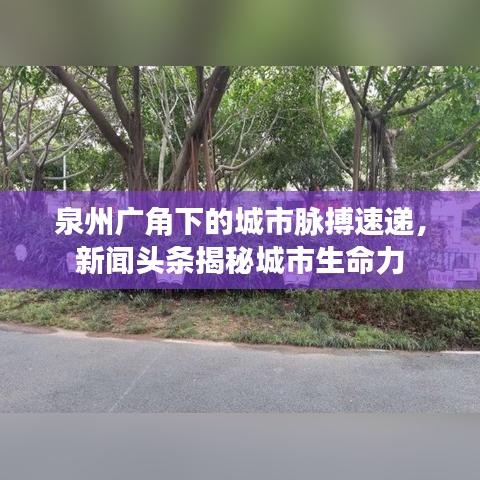 泉州廣角下的城市脈搏速遞，新聞?lì)^條揭秘城市生命力