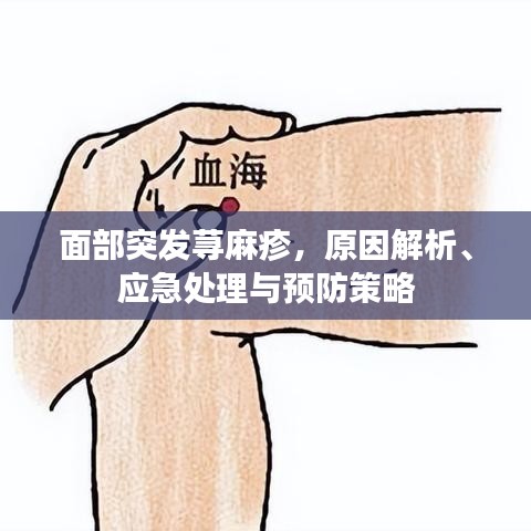 面部突發(fā)蕁麻疹，原因解析、應(yīng)急處理與預(yù)防策略