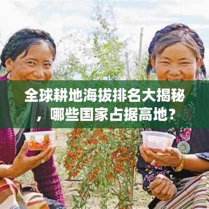 全球耕地海拔排名大揭秘，哪些國家占據(jù)高地？