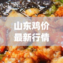 山東雞價最新行情走勢分析，今日市場動態(tài)揭秘