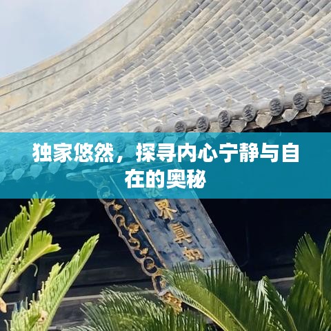 獨家悠然，探尋內心寧靜與自在的奧秘