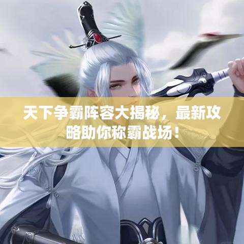 天下爭霸陣容大揭秘，最新攻略助你稱霸戰(zhàn)場！