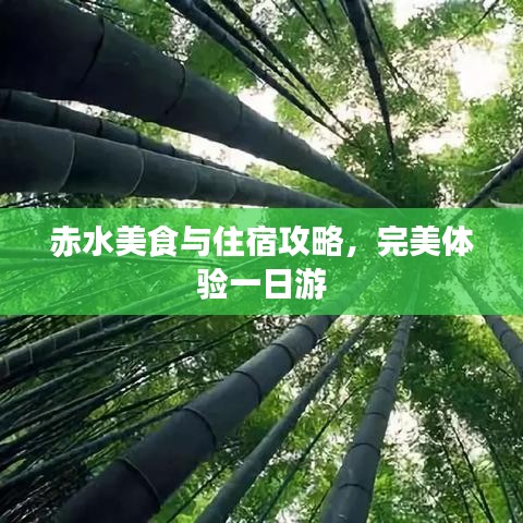 赤水美食與住宿攻略，完美體驗(yàn)一日游