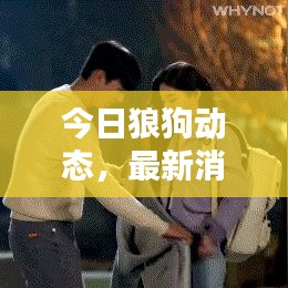 今日狼狗動(dòng)態(tài)，最新消息與圖片匯總
