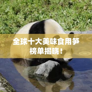 全球十大美味食用筍榜單揭曉！