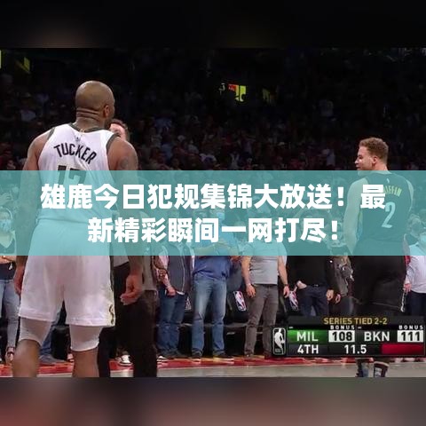 雄鹿今日犯規(guī)集錦大放送！最新精彩瞬間一網(wǎng)打盡！