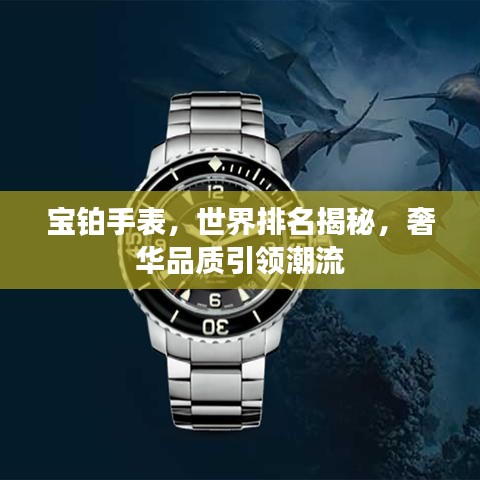 寶鉑手表，世界排名揭秘，奢華品質(zhì)引領(lǐng)潮流