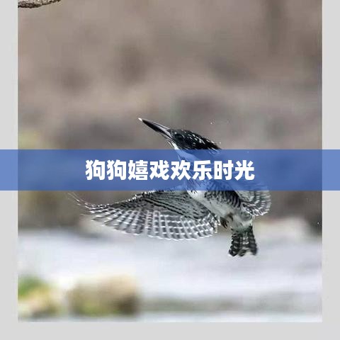 長安米貴 第2頁
