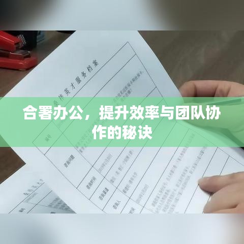 合署辦公，提升效率與團(tuán)隊(duì)協(xié)作的秘訣