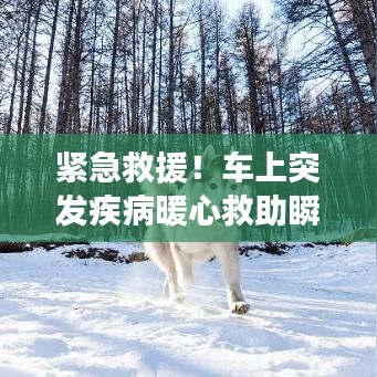緊急救援！車上突發(fā)疾病暖心救助瞬間