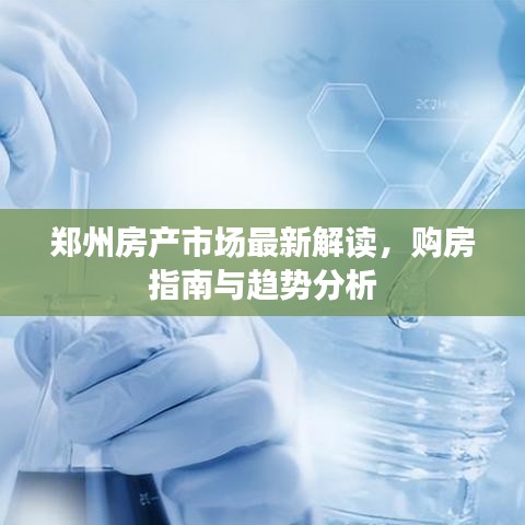 鄭州房產(chǎn)市場最新解讀，購房指南與趨勢分析