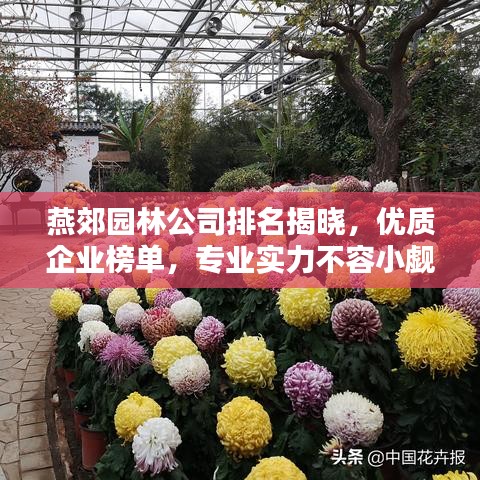 燕郊園林公司排名揭曉，優(yōu)質(zhì)企業(yè)榜單，專業(yè)實(shí)力不容小覷！