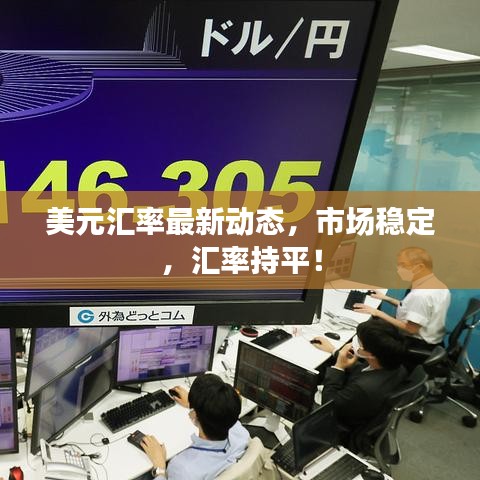 美元匯率最新動態(tài)，市場穩(wěn)定，匯率持平！