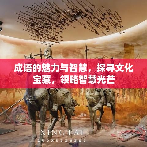 成語的魅力與智慧，探尋文化寶藏，領(lǐng)略智慧光芒
