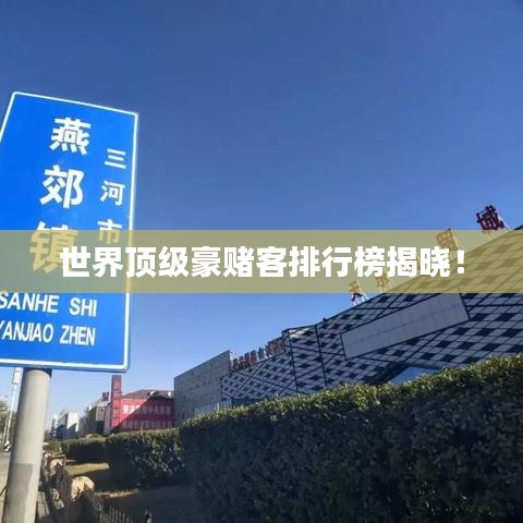 世界頂級豪賭客排行榜揭曉！