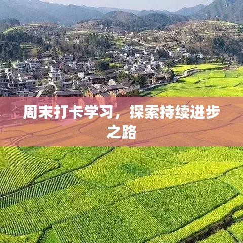 周末打卡學(xué)習(xí)，探索持續(xù)進(jìn)步之路