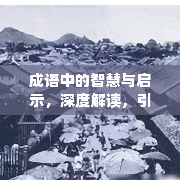 成語中的智慧與啟示，深度解讀，引人熱議