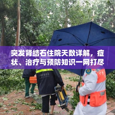 突發(fā)腎結石住院天數(shù)詳解，癥狀、治療與預防知識一網(wǎng)打盡