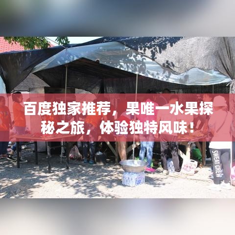 百度獨家推薦，果唯一水果探秘之旅，體驗獨特風(fēng)味！