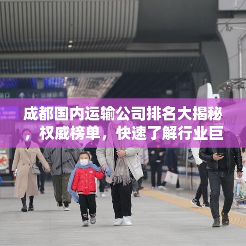 成都國內(nèi)運輸公司排名大揭秘，權(quán)威榜單，快速了解行業(yè)巨頭！