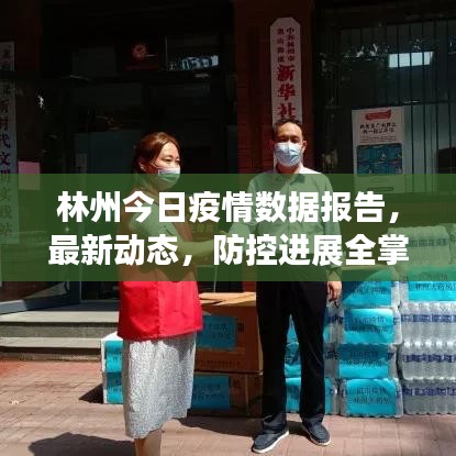 林州今日疫情數(shù)據(jù)報告，最新動態(tài)，防控進展全掌握