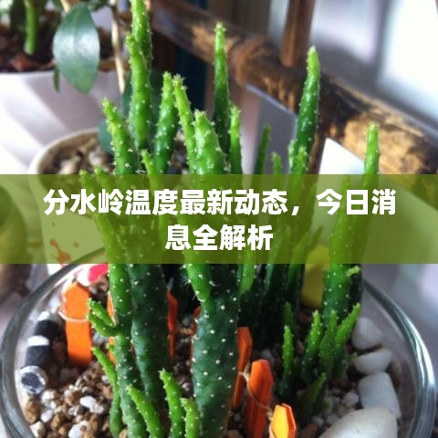 分水嶺溫度最新動(dòng)態(tài)，今日消息全解析