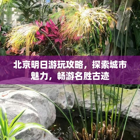 北京明日游玩攻略，探索城市魅力，暢游名勝古跡
