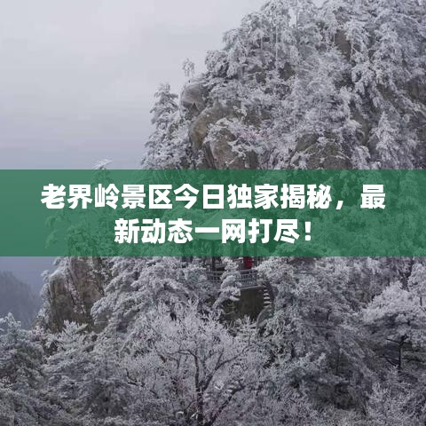 老界嶺景區(qū)今日獨(dú)家揭秘，最新動(dòng)態(tài)一網(wǎng)打盡！