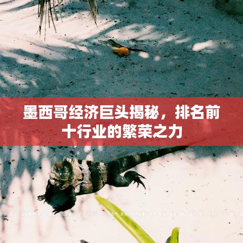 墨西哥經(jīng)濟(jì)巨頭揭秘，排名前十行業(yè)的繁榮之力