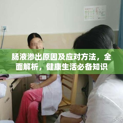腸液滲出原因及應對方法，全面解析，健康生活必備知識