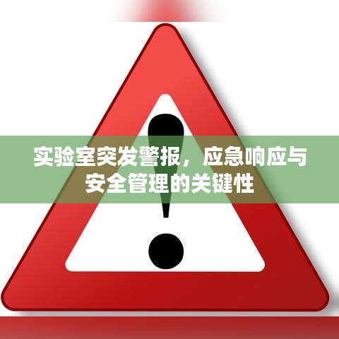 實(shí)驗(yàn)室突發(fā)警報(bào)，應(yīng)急響應(yīng)與安全管理的關(guān)鍵性