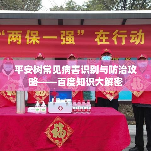 草創(chuàng)未就 第2頁
