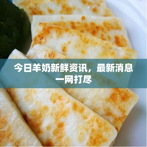 今日羊奶新鮮資訊，最新消息一網(wǎng)打盡