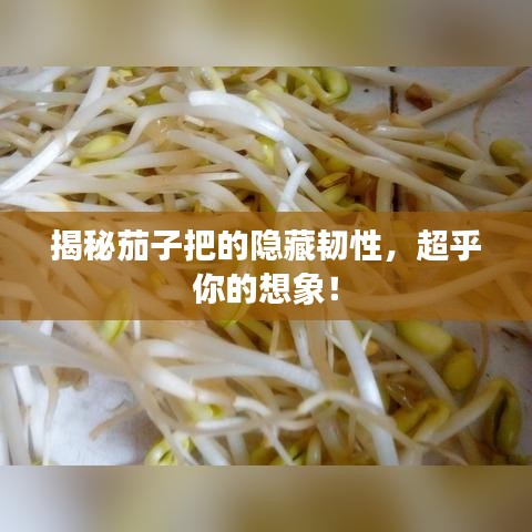 揭秘茄子把的隱藏韌性，超乎你的想象！