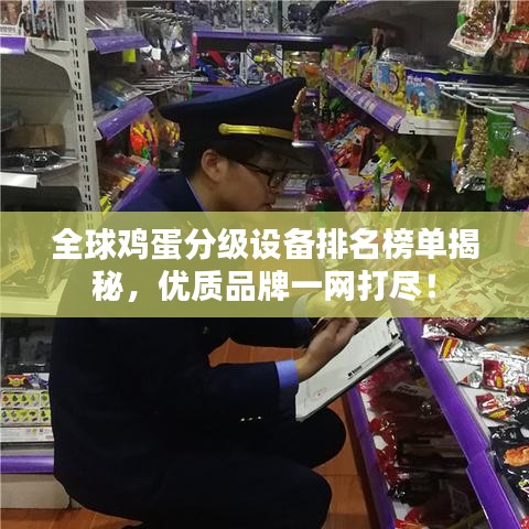 全球雞蛋分級設(shè)備排名榜單揭秘，優(yōu)質(zhì)品牌一網(wǎng)打盡！