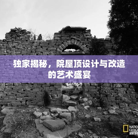 獨(dú)家揭秘，院屋頂設(shè)計(jì)與改造的藝術(shù)盛宴