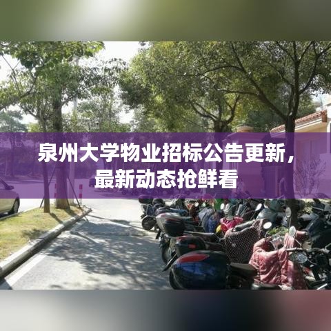 泉州大學(xué)物業(yè)招標(biāo)公告更新，最新動(dòng)態(tài)搶鮮看