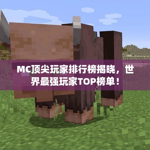 MC頂尖玩家排行榜揭曉，世界最強玩家TOP榜單！